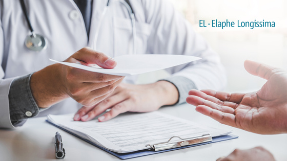 Thumbnail_eArztbrief_EL